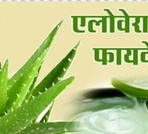 एलोवेरा के फायदे