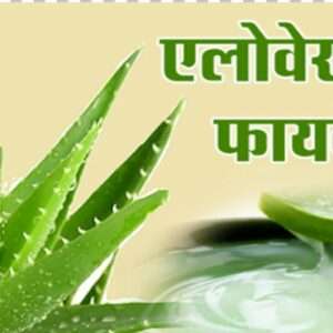 एलोवेरा के फायदे