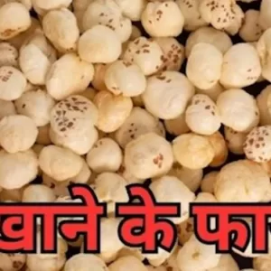 मखाने खाने के फायदे