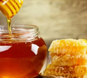 शहद के फायदे