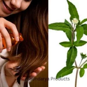 Bhringraj Oil Benefits