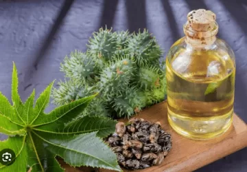 अरण्डी का तेल