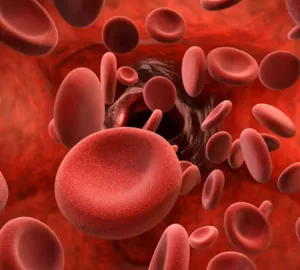 What are platelets