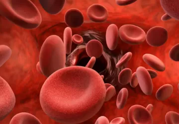 What are platelets