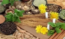 adaptogenic herbs in skincare